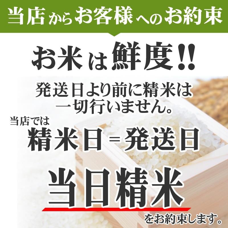 米 お米 5kg×4 ミルキークイーン 玄米20kg 令和5年産 山形産 白米・無洗米・分づきにお好み精米 送料無料 当日精米｜miuranouen｜12