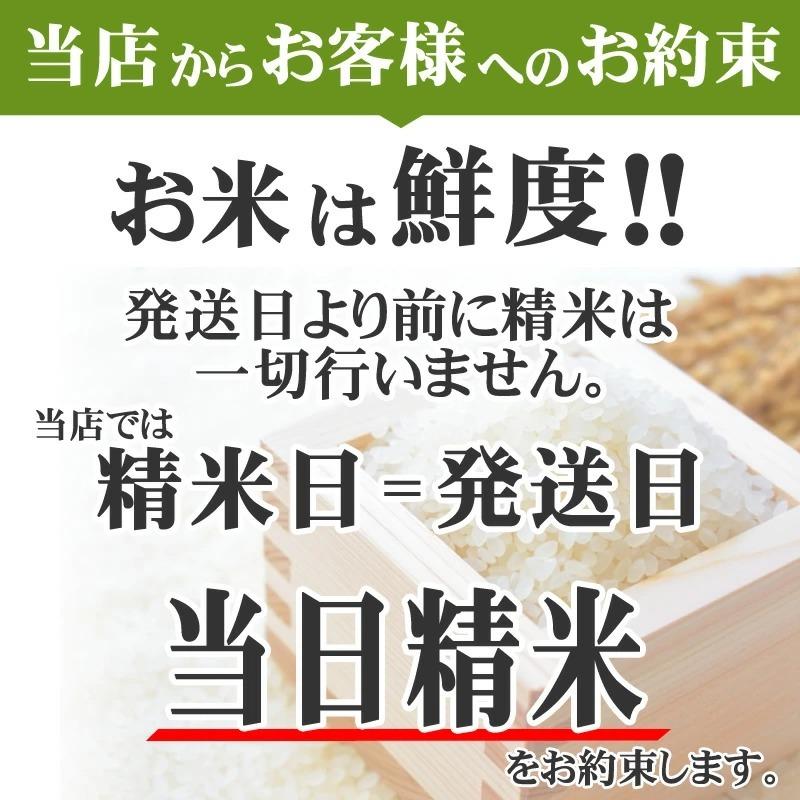 ミルキークイーン 米 お米 送料無料 600g (4合) 令和7年産 山形県産