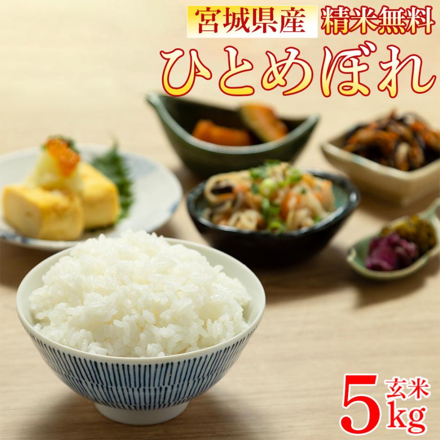 ひとめぼれ 米 玄米 5kg 令和7年産 宮城県産 精米無料 白米 無洗米