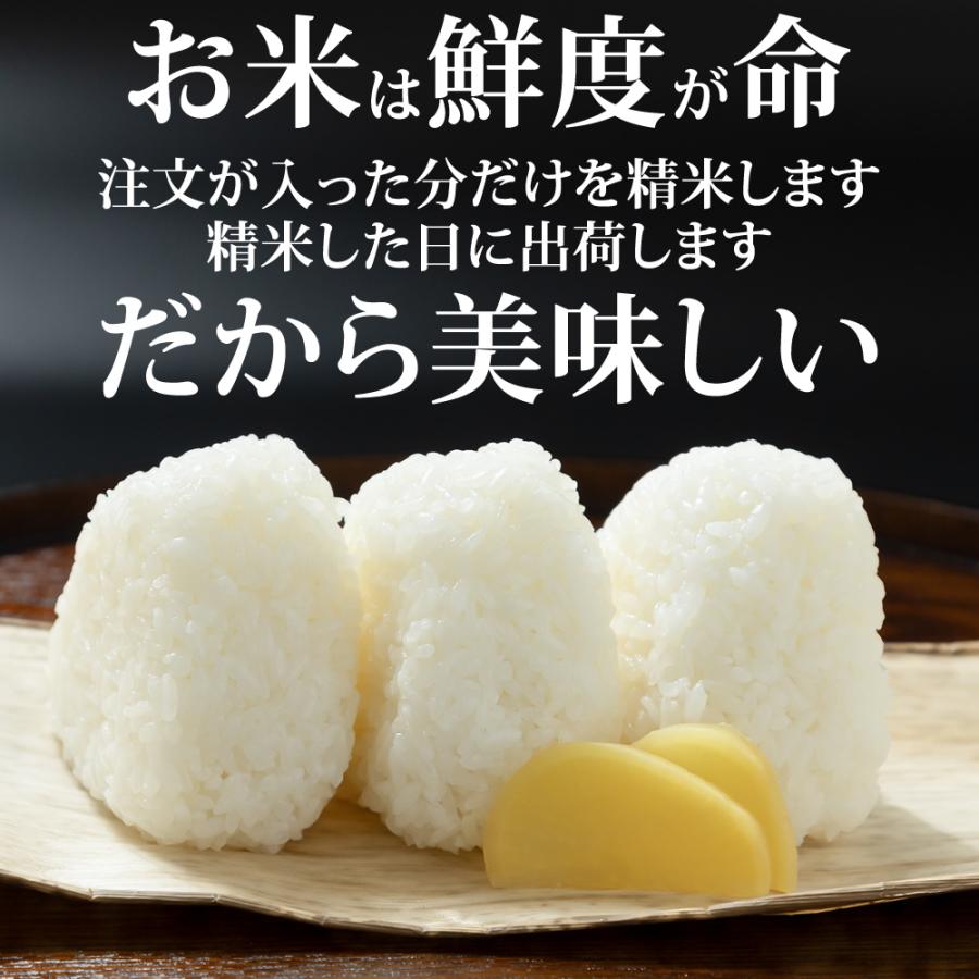 宮城米ひとめぼれ 玄米 20kg ひとめぼれ 米 玄米 20kg 5kg×4袋 令和7年産 宮城県産 精米無料 白米