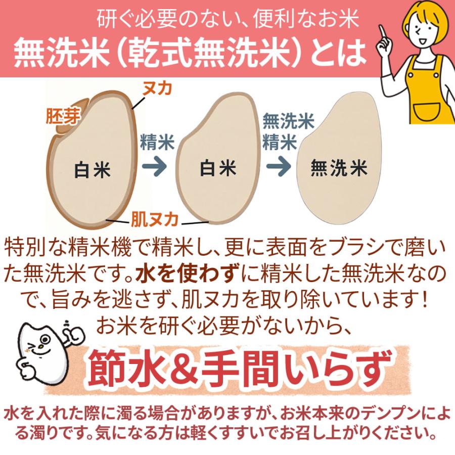 ひとめぼれ 米 玄米 20kg 5kg×4袋 令和7年産 宮城県産 精米無料 白米