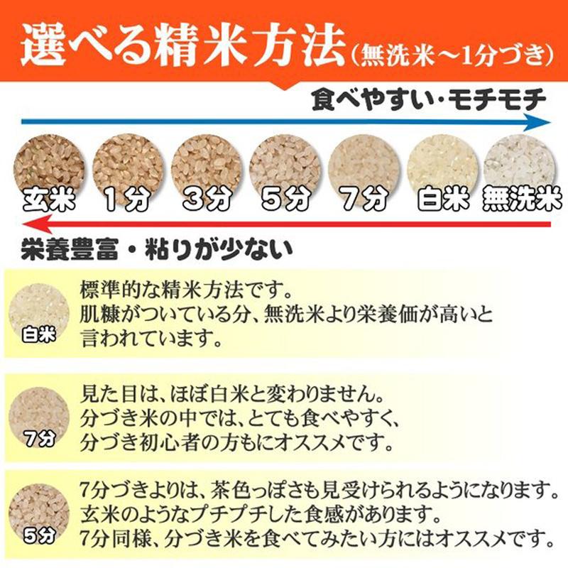 ひとめぼれ 米 玄米 20kg 5kg×4袋 令和7年産 宮城県産 精米無料 白米