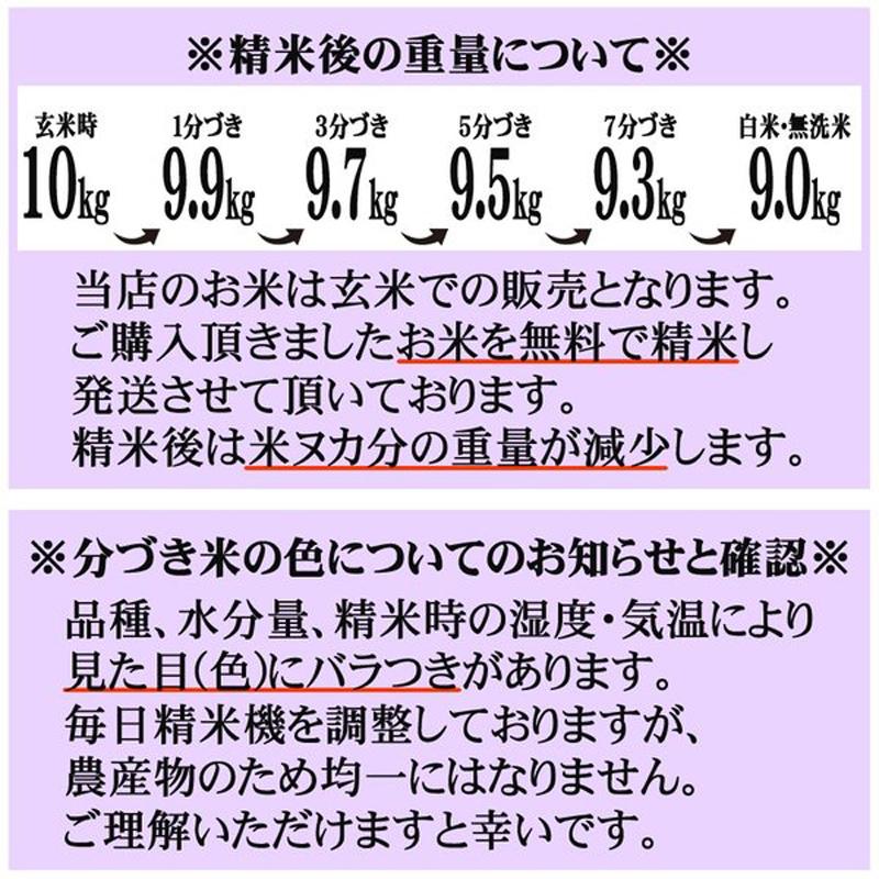 ひとめぼれ 米 玄米 20kg 5kg×4袋 令和7年産 宮城県産 精米無料 白米