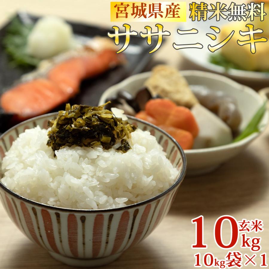 ササニシキ 米 お米 10kg×1 玄米10kg 令和6年産 宮城県産 白米 ササニシキ 米 お米 10kg×1 玄米10kg 令和6年産 宮城県産 白米