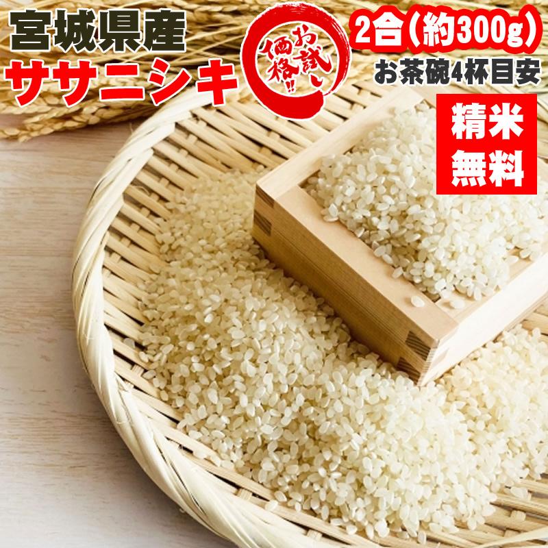 ササニシキ 米 お米 300g 2合 令和7年産 宮城県産 お米 白米 無洗米 分