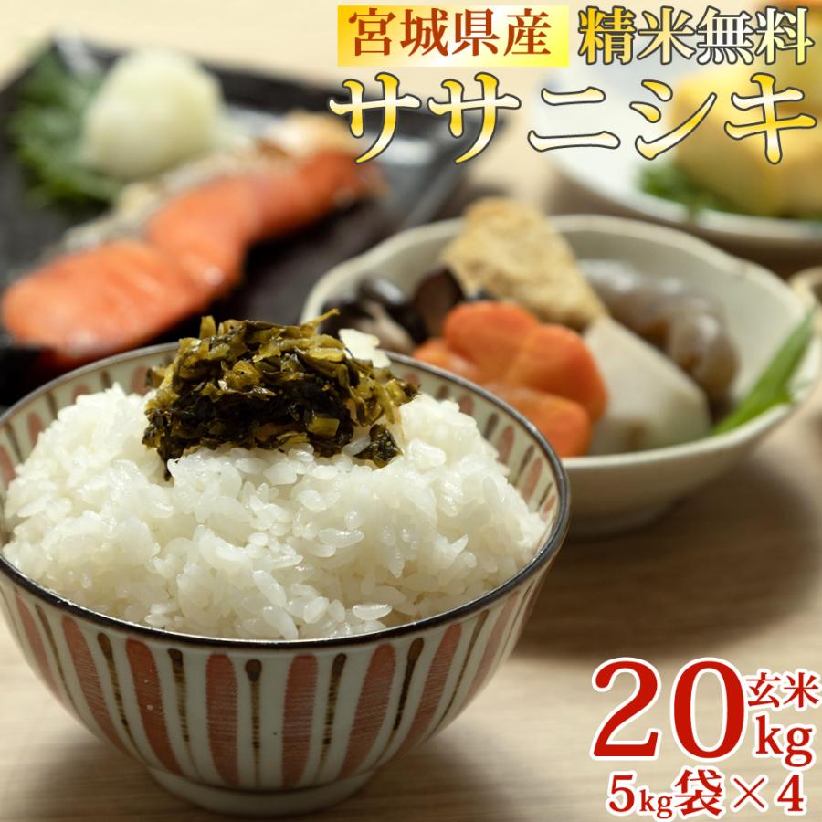 ササニシキ 米 お米 5kg×4 玄米20kg 令和7年産 宮城県産 白米・無洗米
