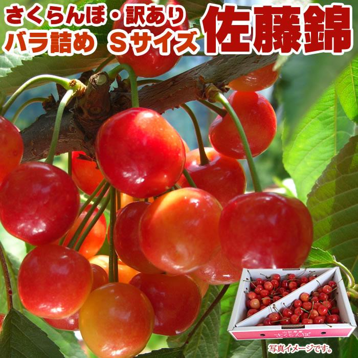 さくらんぼ ご家庭用 佐藤錦 Sサイズ700グラム クール便 送料無料