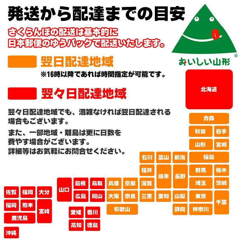 予約販売 さくらんぼ 山形県産 佐藤錦 1kg 置き並べ 秀選 大粒Lサイズ以上 クール便 チルド [佐藤錦置き並べ１キロ] ギフト お中元 プレゼント 熨斗対応｜miuranouen｜13