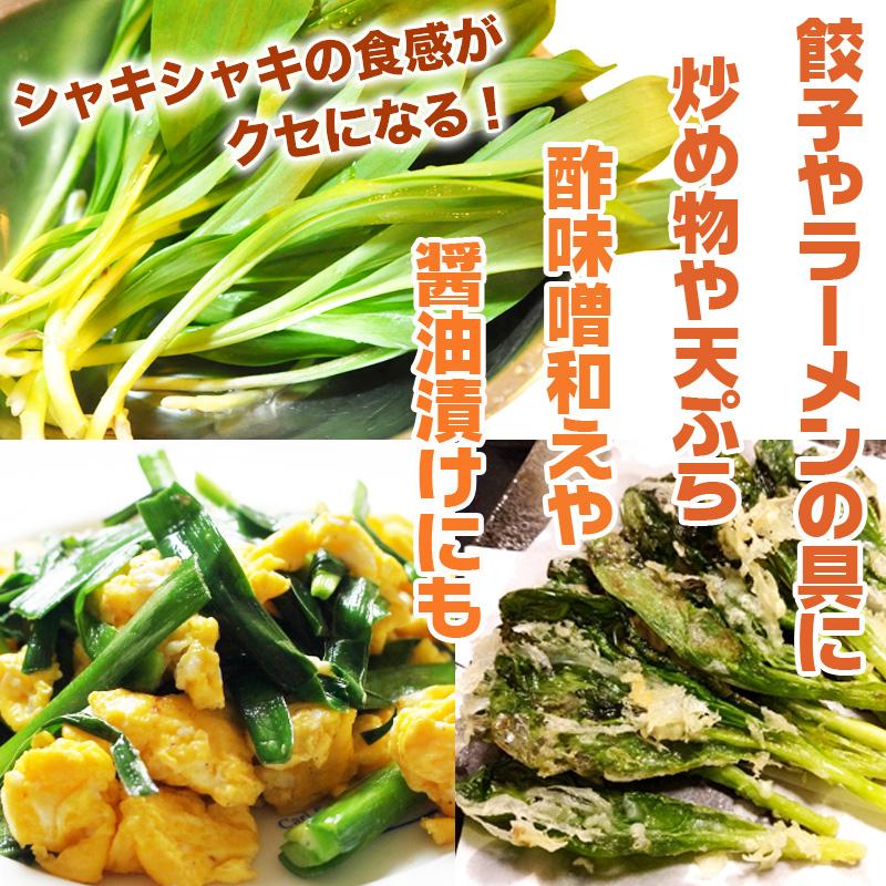 山形県産 促成 山菜 3種セット 行者にんいく 青こごみ たらの芽 3種各