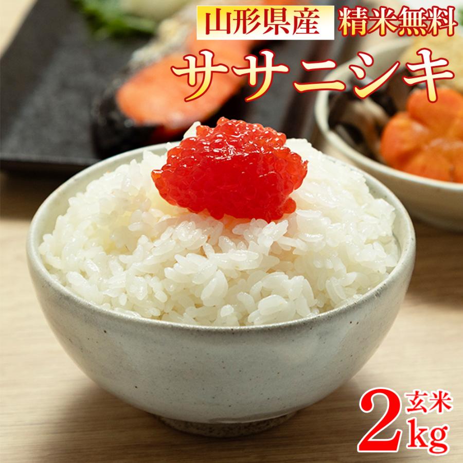 ササニシキ 新米 米 お米 玄米2kg 令和8年産 山形産 白米・無洗米・分