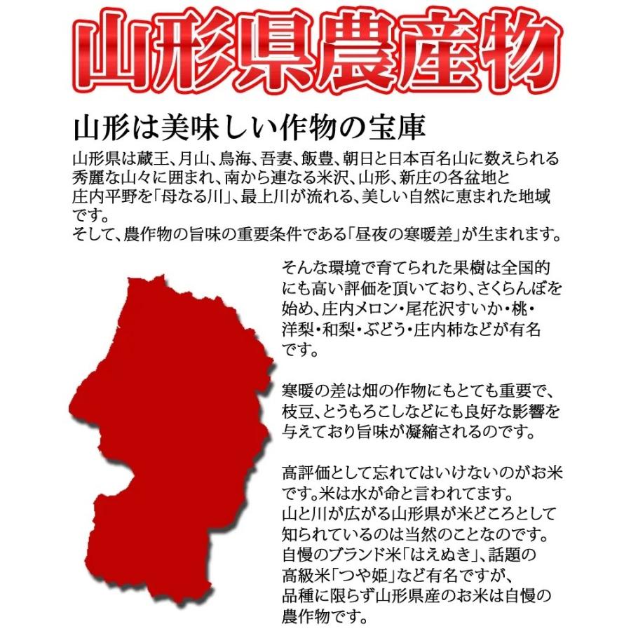 ポイント消化 米 お米 送料無料 ササニシキ 150g (1合) 令和5年産 山形県産 白米 無洗米 分づき 玄米 当日精米 真空パック メール便 450円 YP｜miuranouen｜10