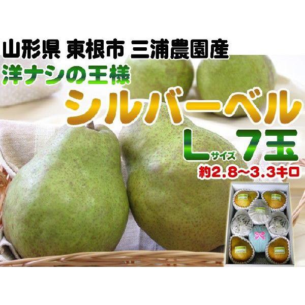 西洋梨 シルバーベル 山形県産 洋ナシの王様 Lサイズ ７ ８玉 約3kg ポイント5倍 シルバーベルｌ３キロ Silverbell L7 東北の農産特産品アグリパートナー 通販 Yahoo ショッピング