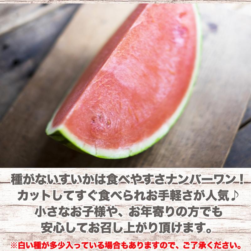 予約販売 山形県尾花沢市産 すいか ブラックジャック 優2Lサイズ
