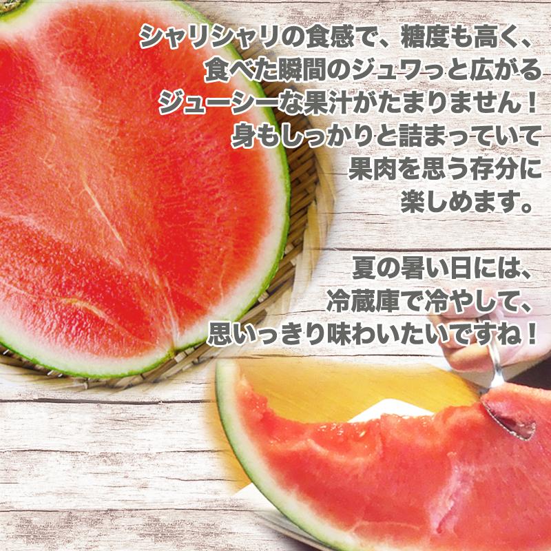 予約販売 山形県尾花沢市産 すいか ブラックジャック 優2Lサイズ