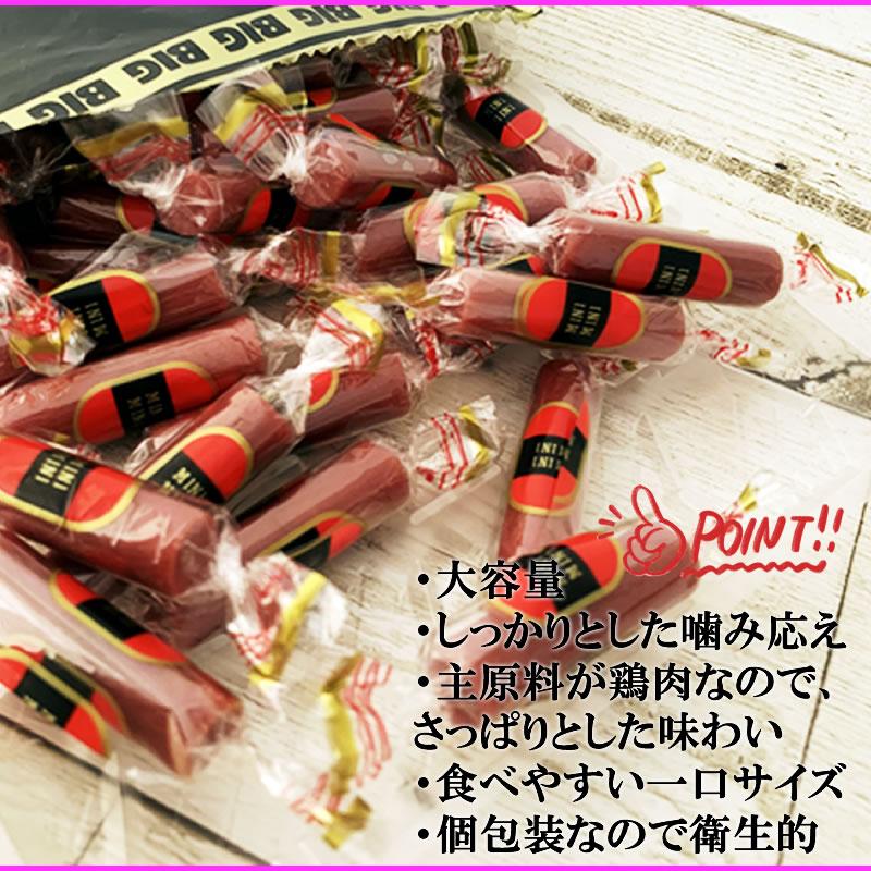 初出品！ブラジルグアバ　赤(大実) 芭樂 バンシル　1本 MEGABIG ベビーカルパス 360g 1袋 メール便 送料無料 サラミ お試し
