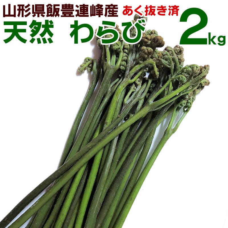 わらび あくぬき済 2kg (1kg×2束) 天然 山形県産 飯豊連峰 朝採り 山菜
