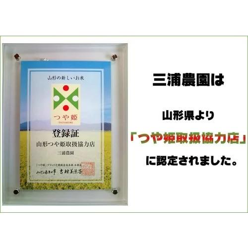 つや姫 米 お米 送料無料 300g (2合) 令和7年産 山形県産 白米 無洗米