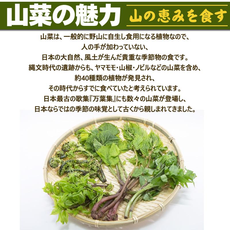 山形県産 促成 山菜 うるい 200g (100g×2パック) 送料無料 クール便 [促成うるい 100g×2] : 東北の農産特産品アグリ ...