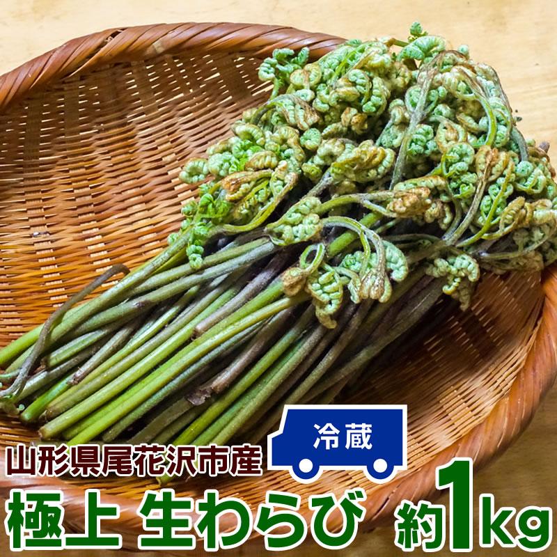 わらび苗(紀伊山地)500本 わらび(紀伊山地)500g - メルカリ