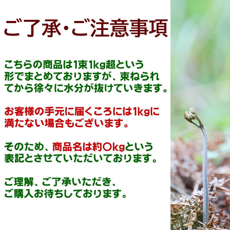 わらび 1kg 山形県 尾花沢市産 極上 生 山菜 ワラビ 蕨 送料無料