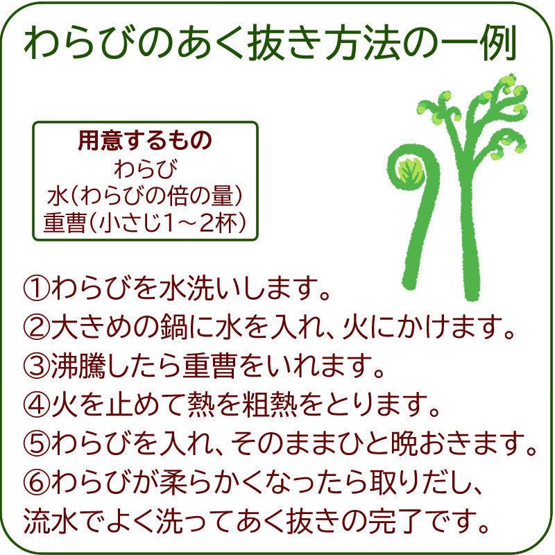 わらび 4kg (1kg×4束) 山形県 尾花沢市産 極上 生 山菜 ワラビ 蕨 送料