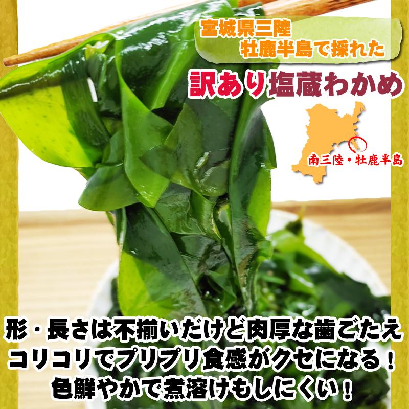 訳あり 塩蔵 湯通しわかめ 200g 宮城県 三陸産 手作り技法 無添加 無