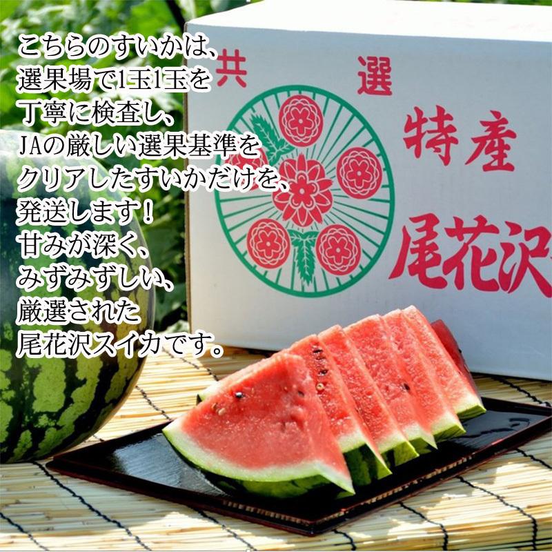 ③山形県産尾花沢スイカ東部4L 先行予約 尾花沢産スイカ 4Lサイズ 約9㎏×2玉 7月下旬～8月中旬