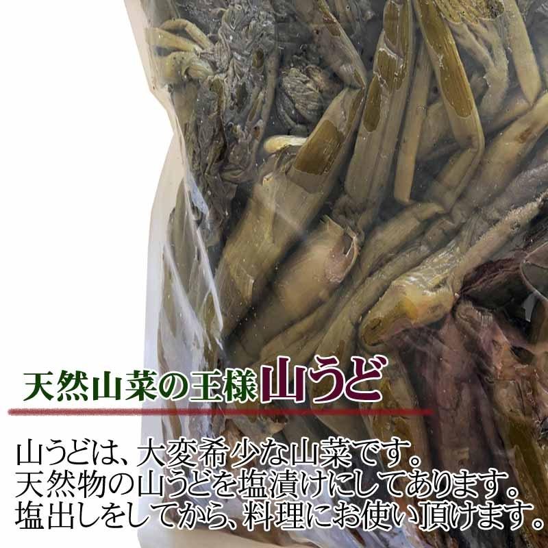 山形県飯豊町産 天然山菜 山うど塩蔵 1kg 数量限定 送料無料 山 山形県飯豊町産 天然山菜 山うど塩蔵 1kg 数量限定 送料無料 山
