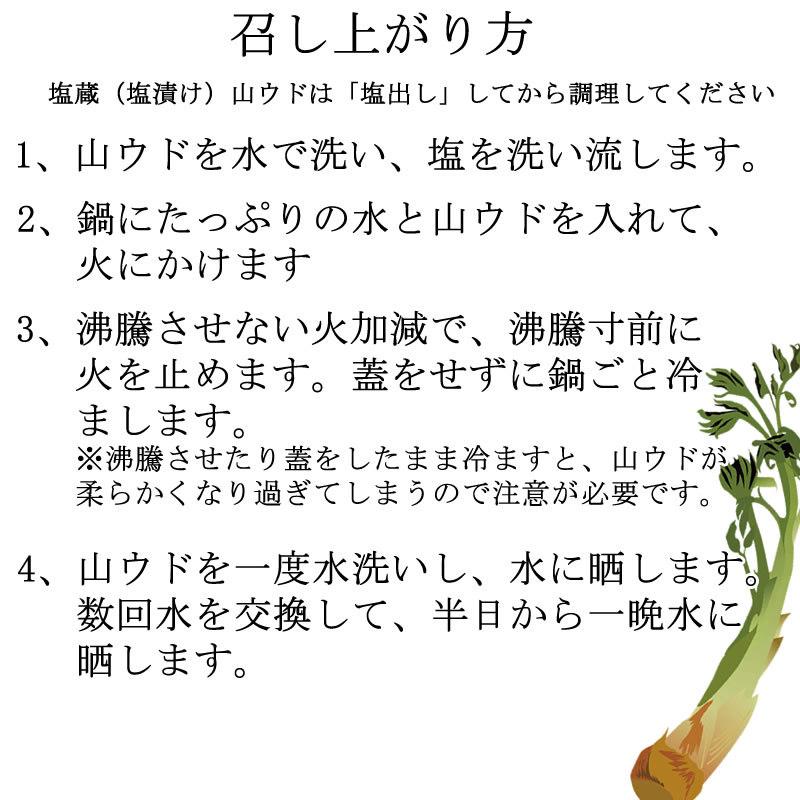 山形県飯豊町産 天然山菜 山うど塩蔵 1kg 数量限定 送料無料 山ウド