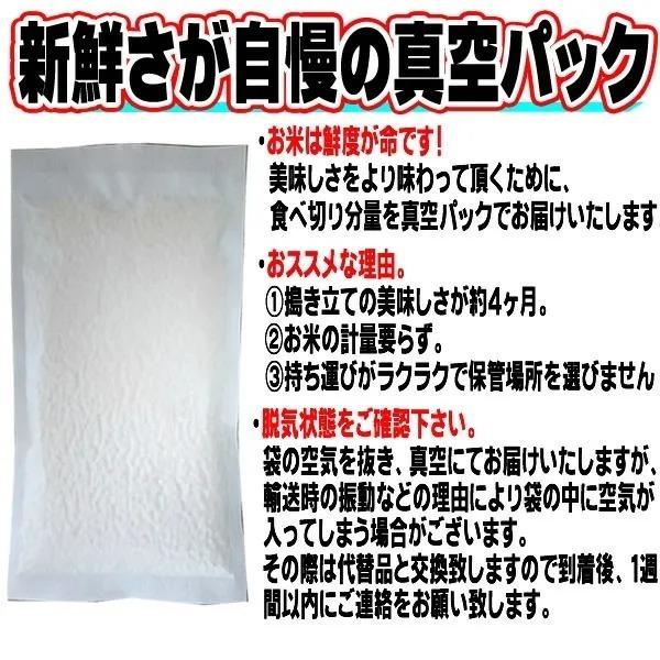 ポイント消化 米 お米 雪若丸 600g (4合) ゆきわかまる 令和5年産 山形県産 白米 無洗米 分づき 玄米 送料無料 真空パック メール便 YP｜miuranouen｜15