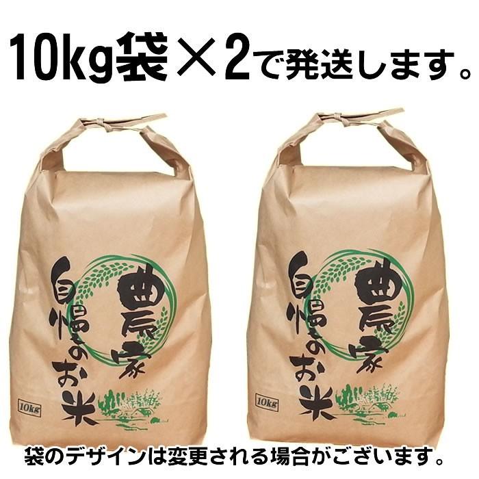 米 お米 雪若丸 玄米20kg (10kg袋×2) ゆきわかまる 令和5年産 山形産 白米・無洗米・分づきにお好み精米 送料無料当日精米｜miuranouen｜10