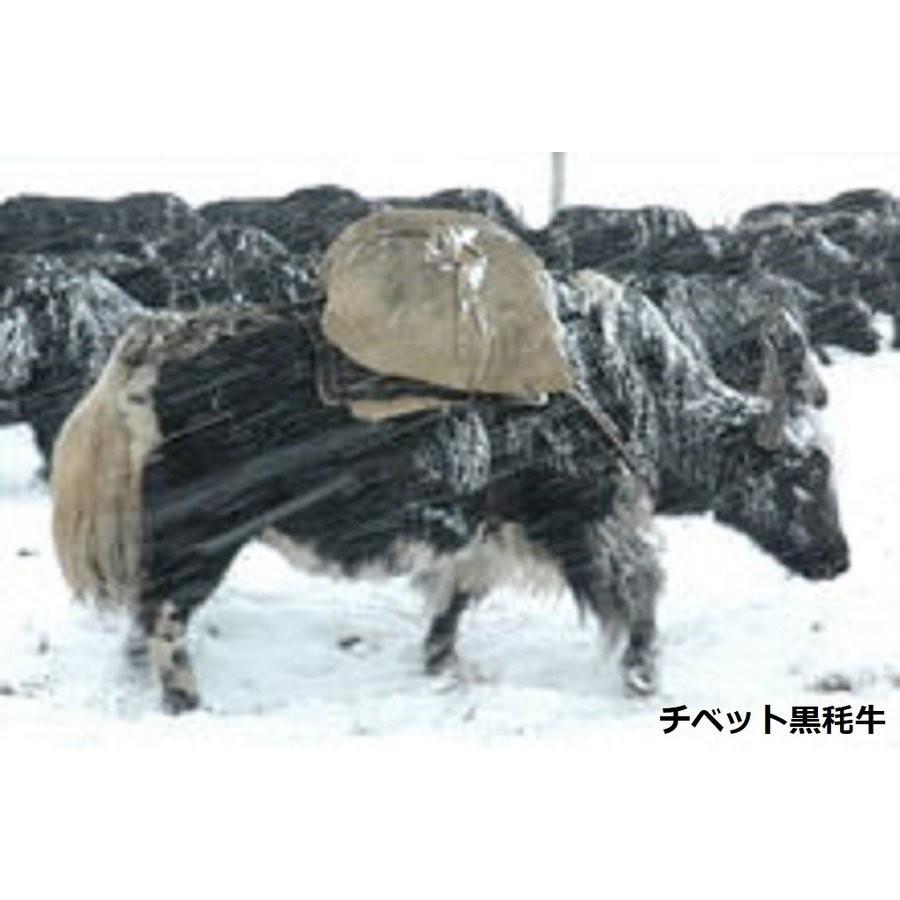 貴重なチベット産ヤク絨毛100％大判ストール、原色の画像