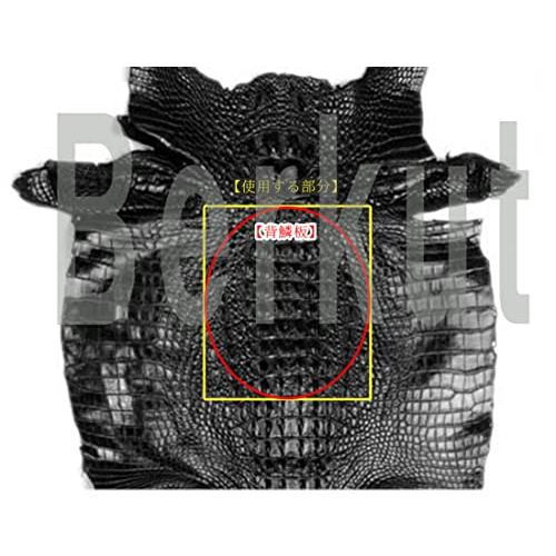 [Berkut] [背鱗板] クロコダイル 長財布 中央1枚皮 ラウンドファスナー シンプル の クロコダイル で 財布 Berkut 背鱗板 長財布 人気 から です