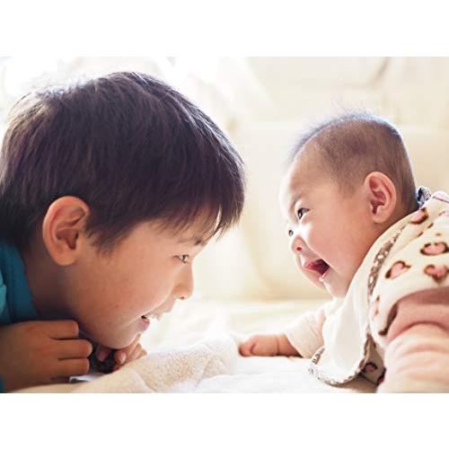 完動品 OLYMPUS M.ZUIKO DIGITAL 25mm F1.8 シルバー マイクロフォーサーズ用 単焦点レンズ 【Q3401709261】(18792円)