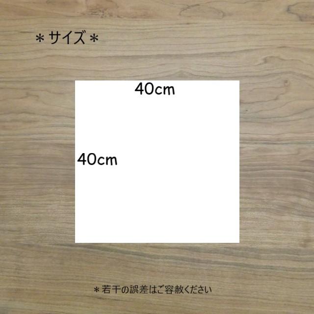 給食 ナフキン ランチクロス 40×40 チェック いちご柄 メール便