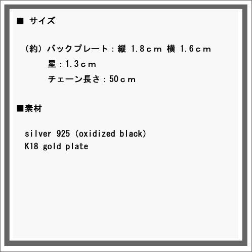 【ボーナスストア 誰でも+5% 4/25 0:00〜4/26 23:59】 ハリム HARIM 正規販売店 ネックレス DAY BREAKER PENDANT 【DAYLIGHT AND STAR】 NECKLACE HRP099S_3