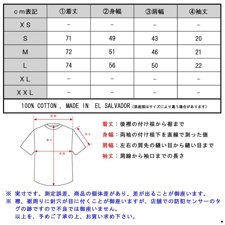 【ボーナスストア 誰でも+5% 5/18 0:00〜5/19 23:59】 ポーラー Tシャツ 正規販売店 POLER 半袖Tシャツ VENN DIAGRAM TEE 55200029-BLK BLACK｜mixon｜04