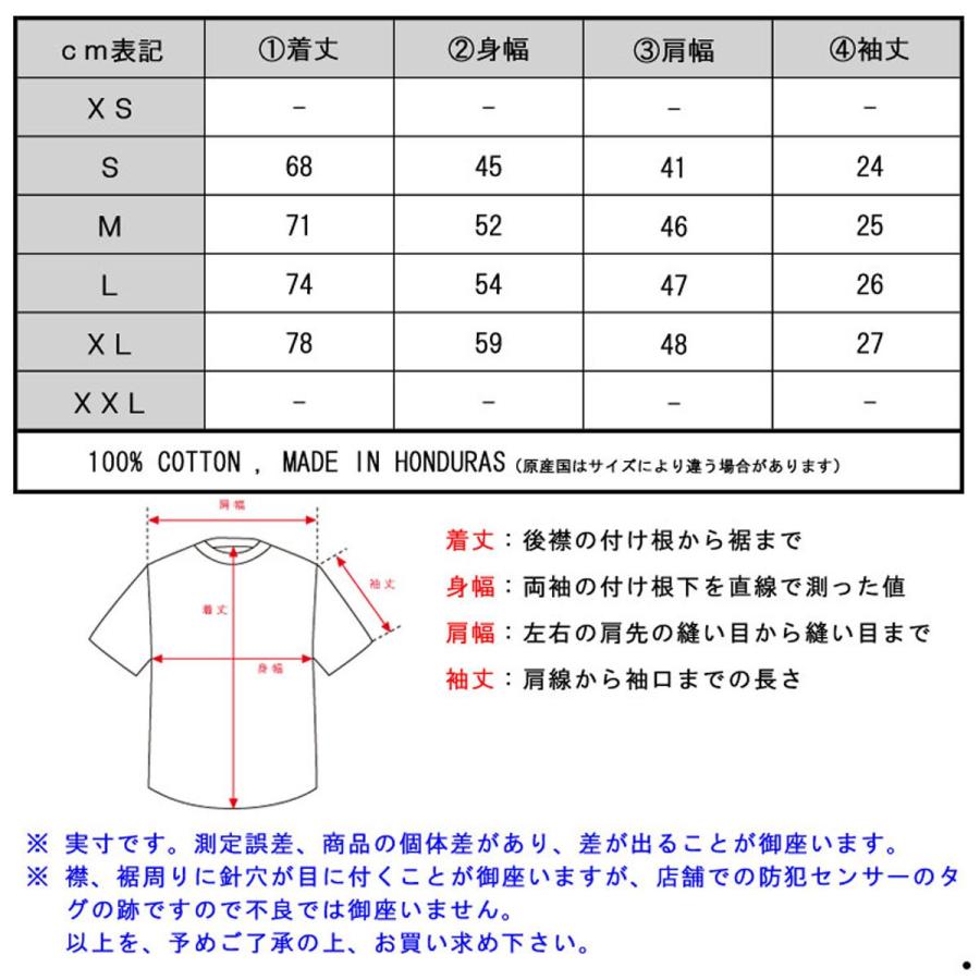 チャンピオン Tシャツ 正規品 CHAMPION 半袖Tシャツ CREW TEE T1919 Heritage Tee | ROGER DUBUIS | 23