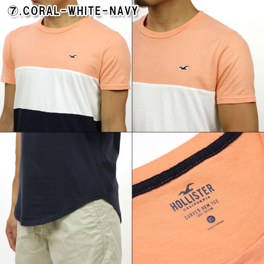 Hollister ホリスター Tシャツ メンズ 正規品 HOLLISTER 半袖Tシャツ