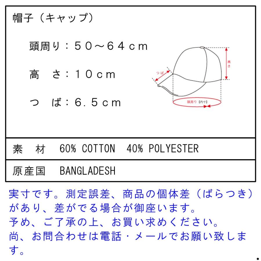 ノースフェイス THE NORTH FACE 正規品 メンズ レディース キャップ 帽子 海外限定 NORM HAT FIRE BRICK RED | THE NORTH FACE | 03
