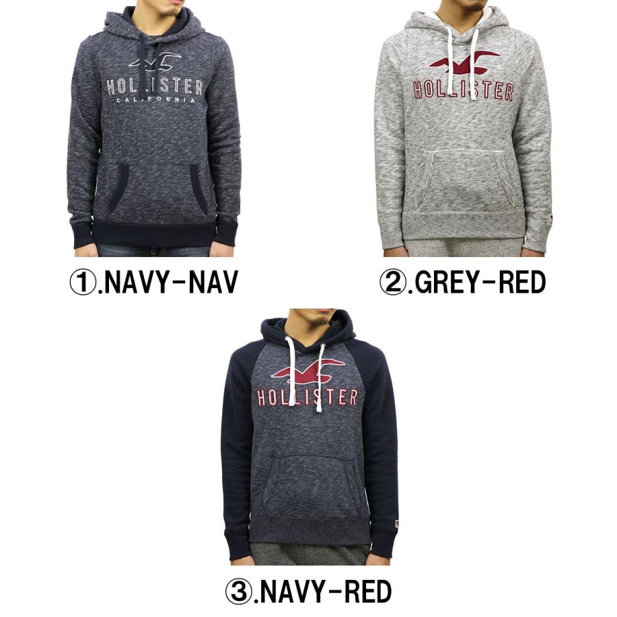 Hollister ホリスター HOLLISTER 正規品 メンズ ロゴアップリケ プル