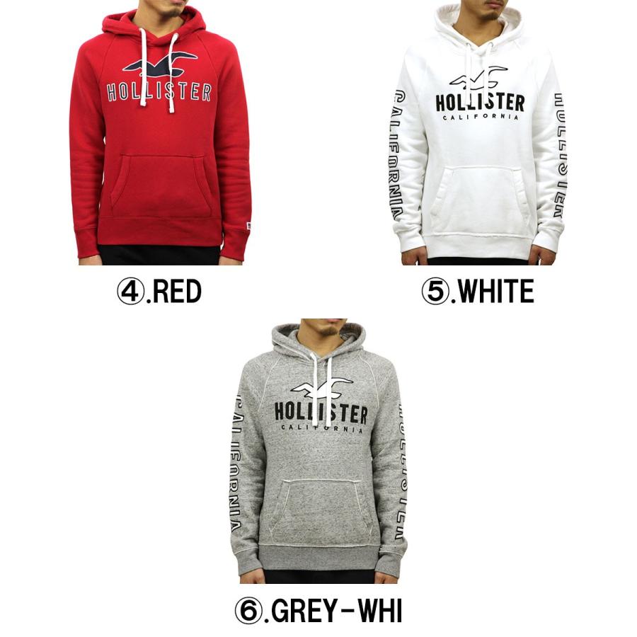 Hollister ホリスター HOLLISTER 正規品 メンズ ロゴアップリケ プル