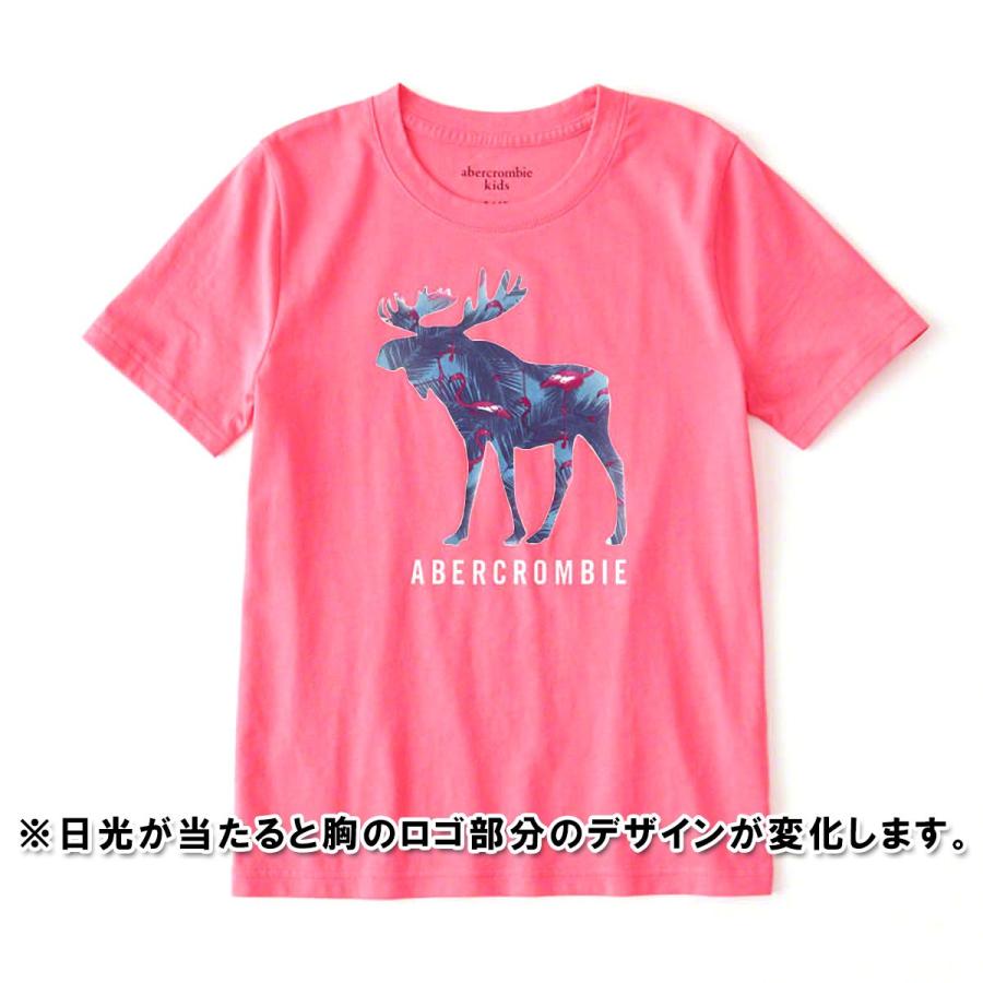 アバクロ キッズTシャツXL（160） - シャツ