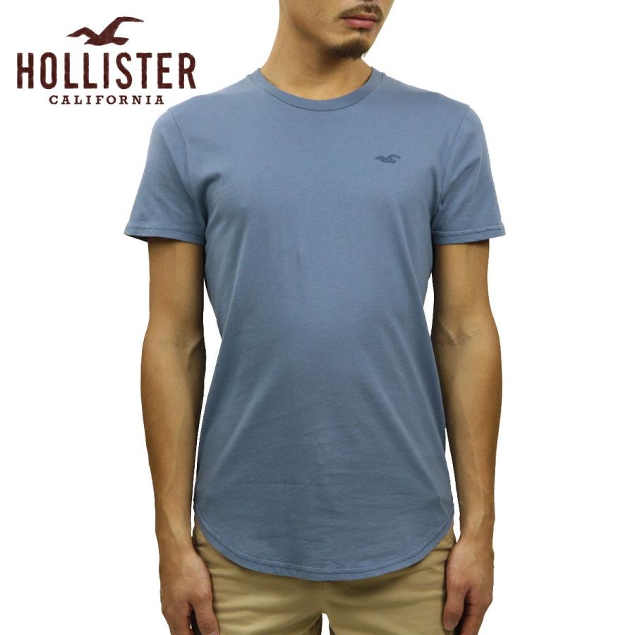 Hollister Tシャツ半袖 Hollister 半袖Tシャツ - メルカリ