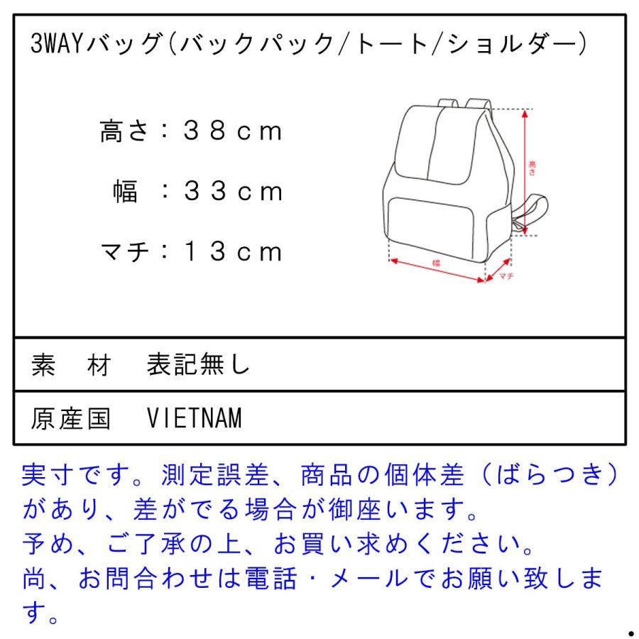 ザ ブラウン バッファロー バッグ メンズ レディース 正規販売店 THE BROWN BUFFALO ショルダーバッグ HELMET BACKPACK NAVY S19HELM420NAVY |  | 03
