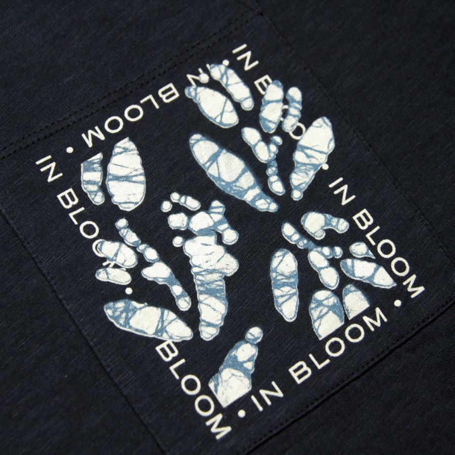 SCOTCH＆SODA（スコッチアンドソーダ） 【ボーナスストア 誰でも+5% 12