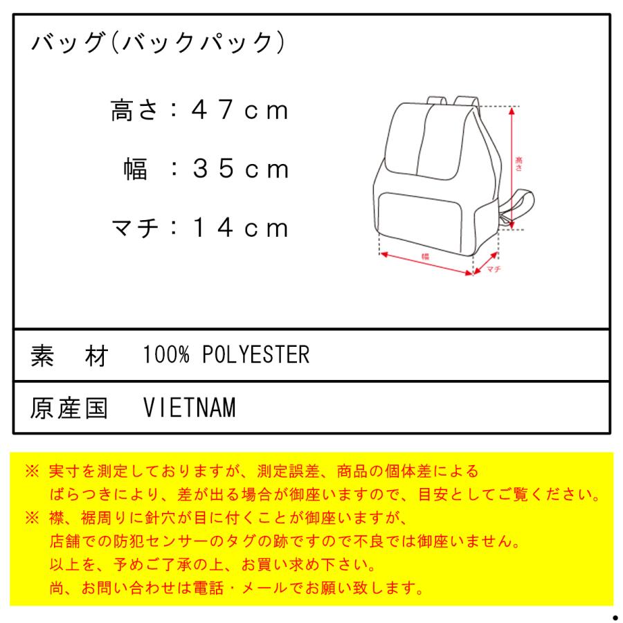 【ボーナスストア 誰でも+5% 5/30 0:00〜6/2 2:59】 パタゴニア メンズ レディース バックパック 正規品 patagonia デイパック リュックサック 鞄 REFUGIOの画像