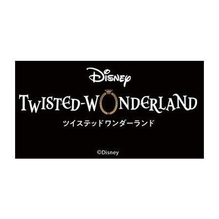 送料無料 ディズニー ツイステッドワンダーランド メタルカード