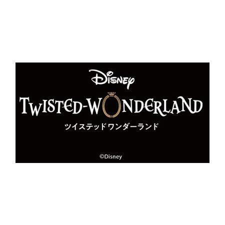 送料無料 ディズニー ツイステッドワンダーランド メタルカード