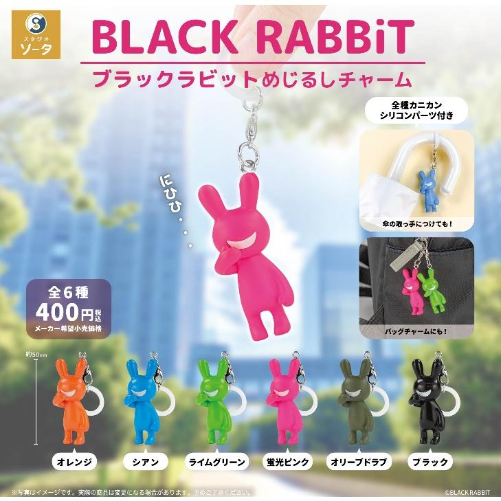 BLACK RABBiT めじるしチャーム ブラックラビット 全6種セット ソータ